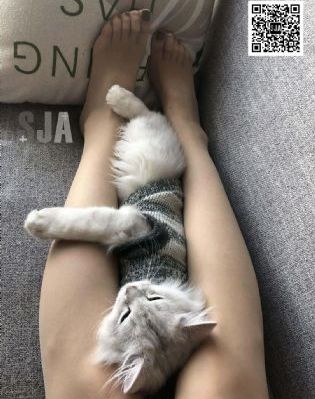 查理的农场