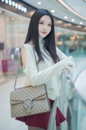 单身男女电视剧免费播放在线观看